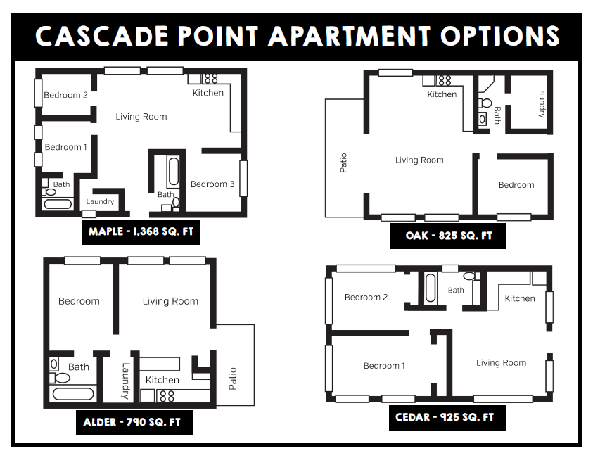 Life Skills Apartment Comprehension Questions