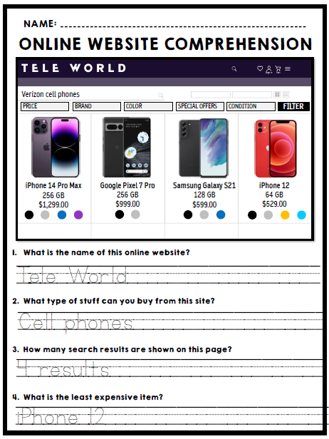 Life Skills - Reading - Online Shopping - Website Comprehension