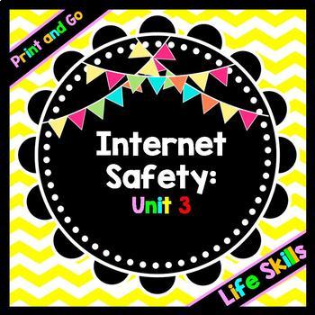 Internet Safety: Cyberbullying PowerPoint Presentation - Unit 3