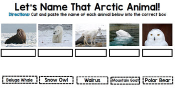 Arctic Animals Research - Special Education - Life Skills - Reading - Writing - Unit 1