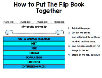 Arctic Animals Research - Interactive Notebook - Special Education - Winter - Unit 3