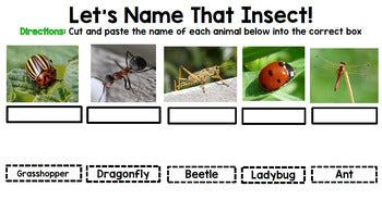 Insect Research - Special Education - Reading - Writing - Spring - Unit One