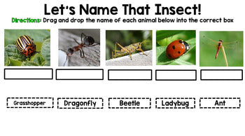 Google Drive - Insect Research - Special Education -- Spring - Unit One