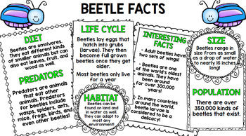 Insect Research - Special Education - Reading - Writing - Spring - Unit Two