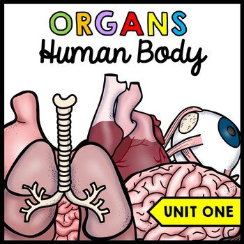 Human Body - Organs - Special Education - Science - Reading - Writing - Unit One