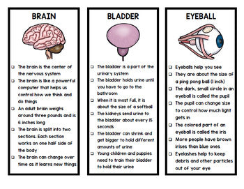 Human Body - Organs - Special Education - Science - Reading - Writing - Unit One