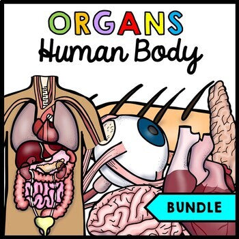 Human Body - Organs - Special Education - Science - Reading - Writing - BUNDLE