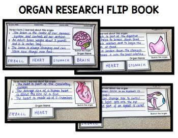 Human Body - Organs - Special Education - Science - Reading - Writing - BUNDLE